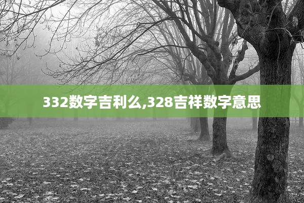 332数字吉利么,328吉祥数字意思