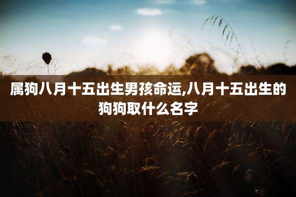 属狗八月十五出生男孩命运,八月十五出生的狗狗取什么名字