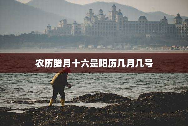 农历腊月十六是阳历几月几号
