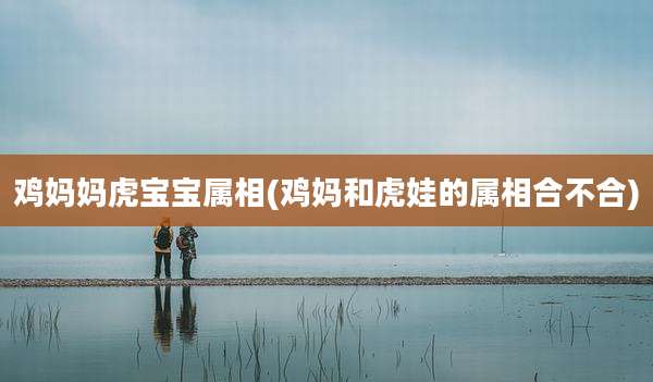 鸡妈妈虎宝宝属相(鸡妈和虎娃的属相合不合)