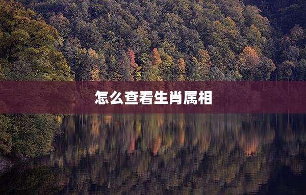 怎么查看生肖属相