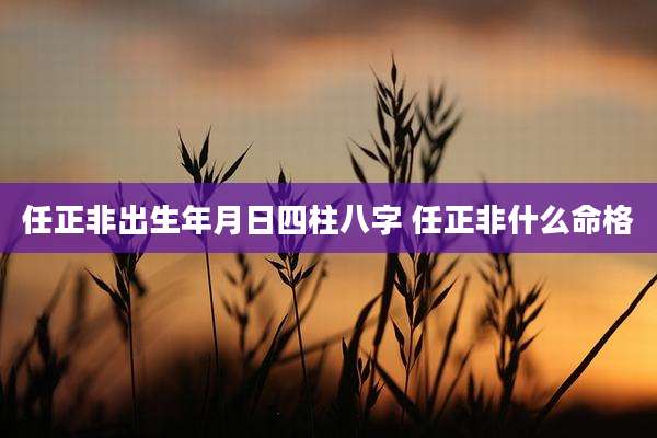 任正非出生年月日四柱八字 任正非什么命格