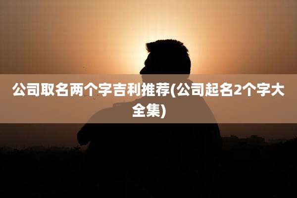 公司取名两个字吉利推荐(公司起名2个字大全集)