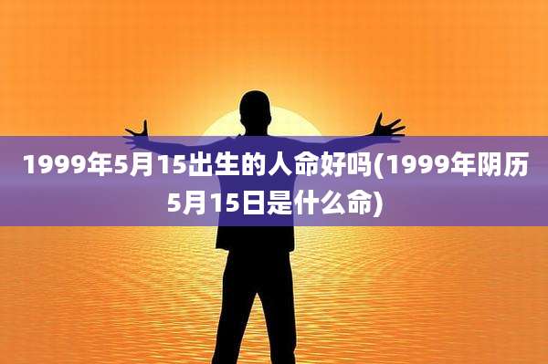 1999年5月15出生的人命好吗(1999年阴历5月15日是什么命)