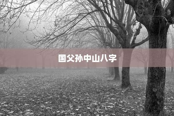 国父孙中山八字