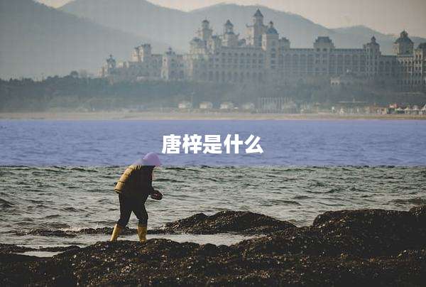 唐梓是什么