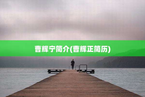 曹辉宁简介(曹辉正简历)