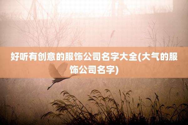好听有创意的服饰公司名字大全(大气的服饰公司名字)
