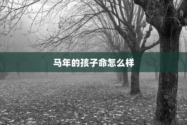 马年的孩子命怎么样