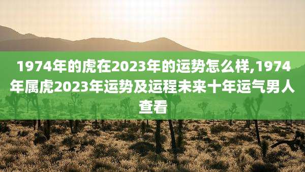 1974年的虎在2023年的运势怎么样,1974年属虎2023年运势及运程未来十年运气男人查看