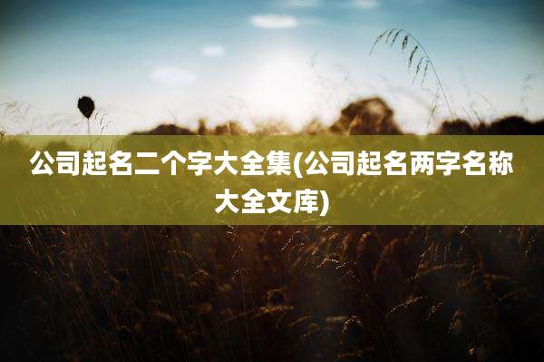 公司起名二个字大全集(公司起名两字名称大全文库)
