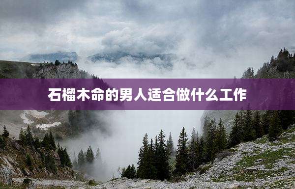 石榴木命的男人适合做什么工作