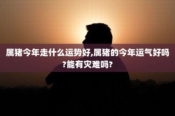 属猪今年走什么运势好,属猪的今年运气好吗?能有灾难吗?