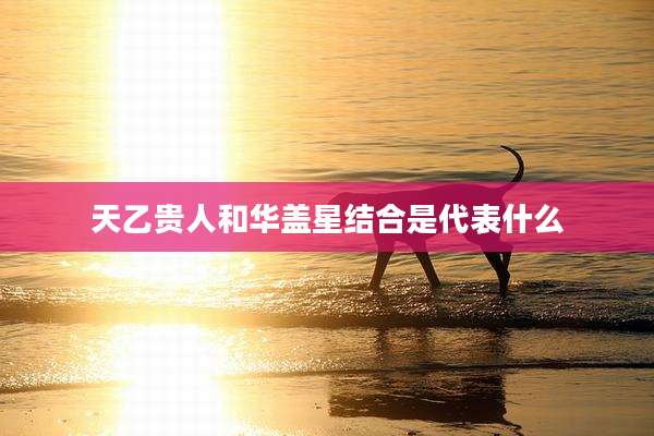 天乙贵人和华盖星结合是代表什么