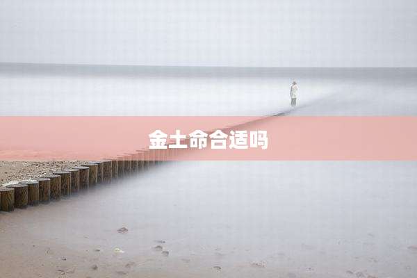 金土命合适吗