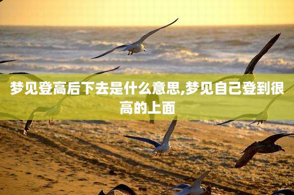梦见登高后下去是什么意思,梦见自己登到很高的上面