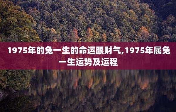 1975年的兔一生的命运跟财气,1975年属兔一生运势及运程