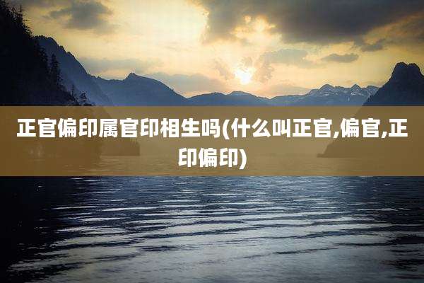正官偏印属官印相生吗(什么叫正官,偏官,正印偏印)