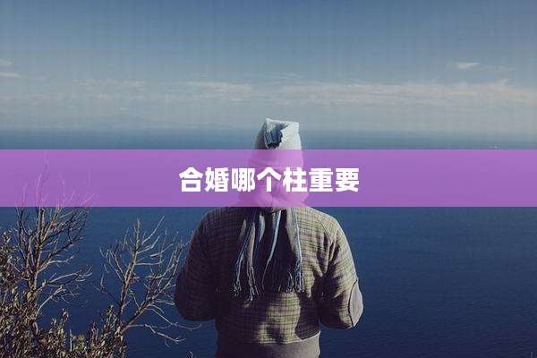 合婚哪个柱重要