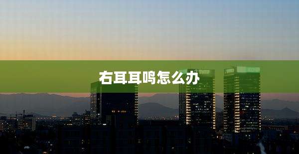 右耳耳鸣怎么办