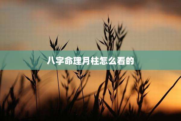 八字命理月柱怎么看的