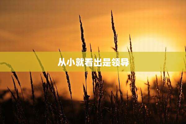 从小就看出是领导