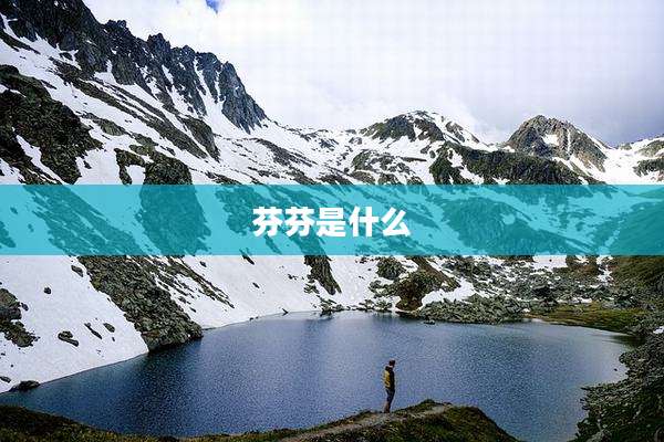 芬芬是什么