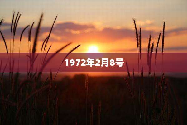 1972年2月8号