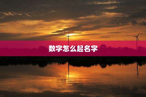 数字怎么起名字