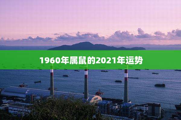 1960年属鼠的2021年运势