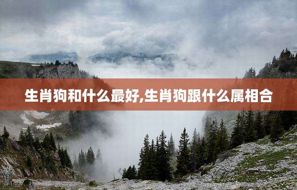 生肖狗和什么最好,生肖狗跟什么属相合