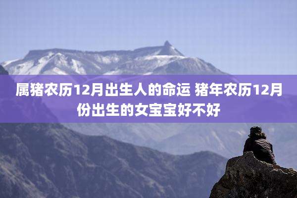 属猪农历12月出生人的命运 猪年农历12月份出生的女宝宝好不好