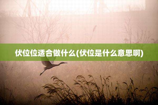 伏位位适合做什么(伏位是什么意思啊)