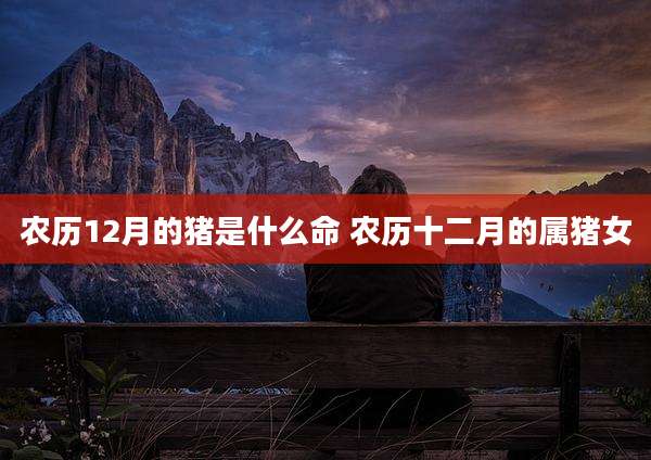 农历12月的猪是什么命 农历十二月的属猪女