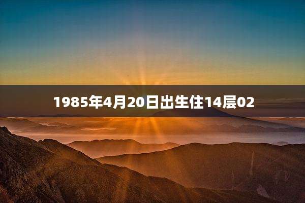 1985年4月20日出生住14层02