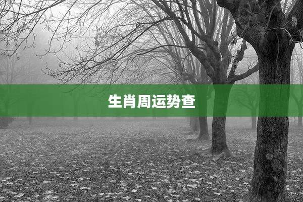 生肖周运势查