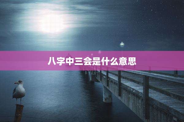 八字中三会是什么意思