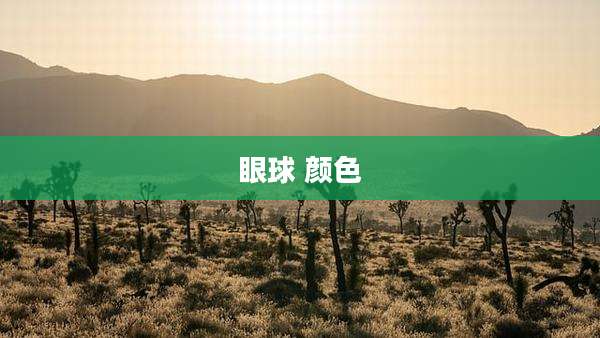 眼球 颜色