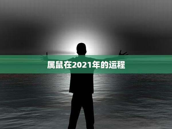 属鼠在2021年的运程