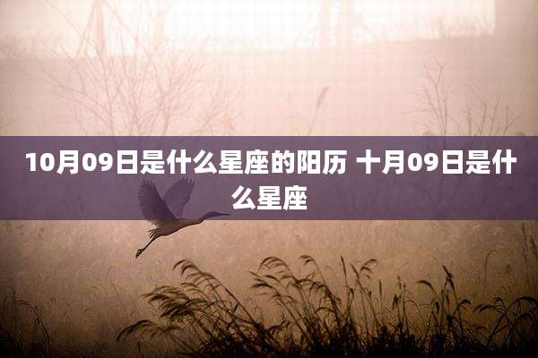10月09日是什么星座的阳历 十月09日是什么星座