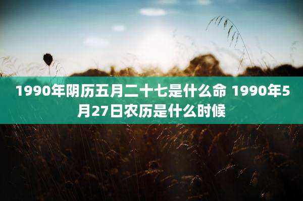 1990年阴历五月二十七是什么命 1990年5月27日农历是什么时候