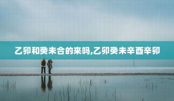 乙卯和癸未合的来吗,乙卯癸未辛酉辛卯