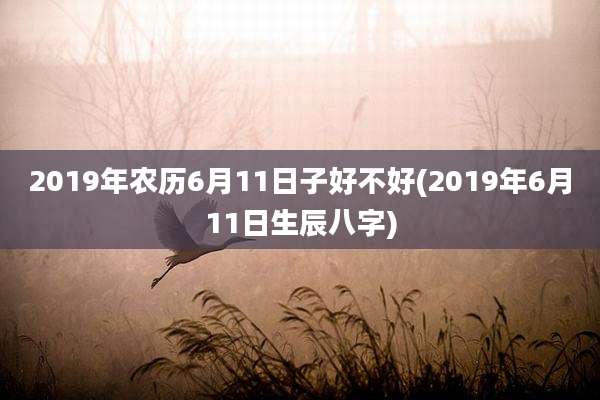 2019年农历6月11日子好不好(2019年6月11日生辰八字)