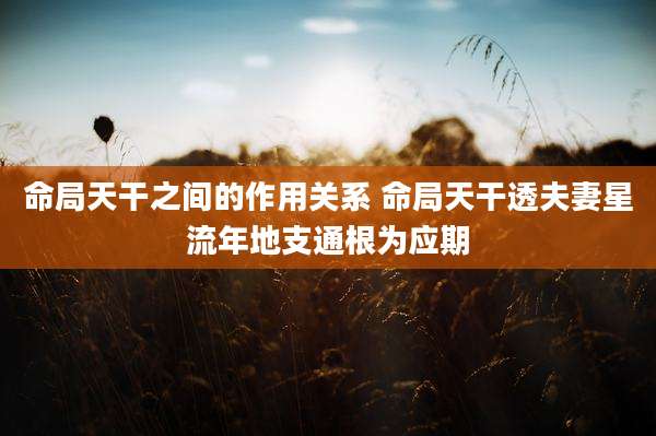 命局天干之间的作用关系 命局天干透夫妻星流年地支通根为应期