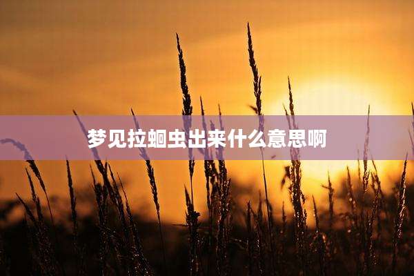 梦见拉蛔虫出来什么意思啊