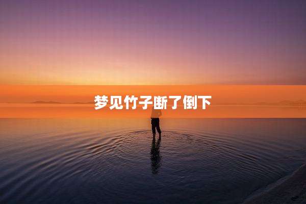 梦见竹子断了倒下