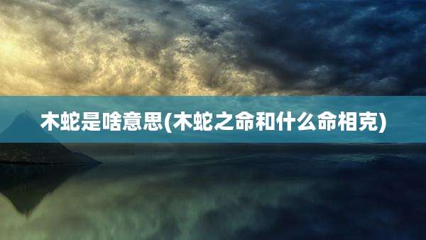 木蛇是啥意思(木蛇之命和什么命相克)