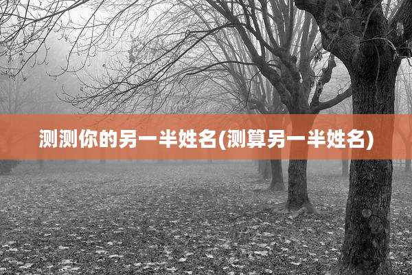 测测你的另一半姓名(测算另一半姓名)