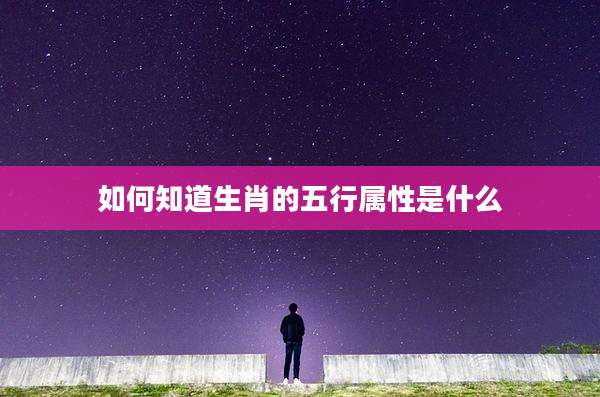 如何知道生肖的五行属性是什么
