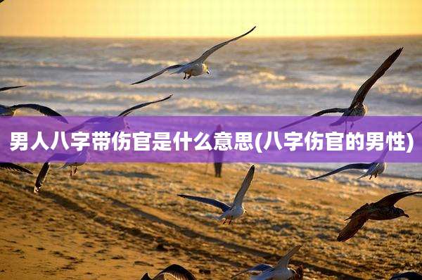 男人八字带伤官是什么意思(八字伤官的男性)